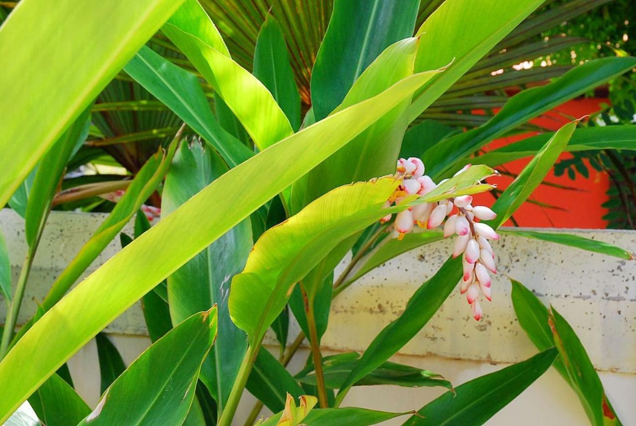 Puerto de la MaderaHouse Sea View Private Garden, 5 People, Optical Fiber别墅 外观 照片